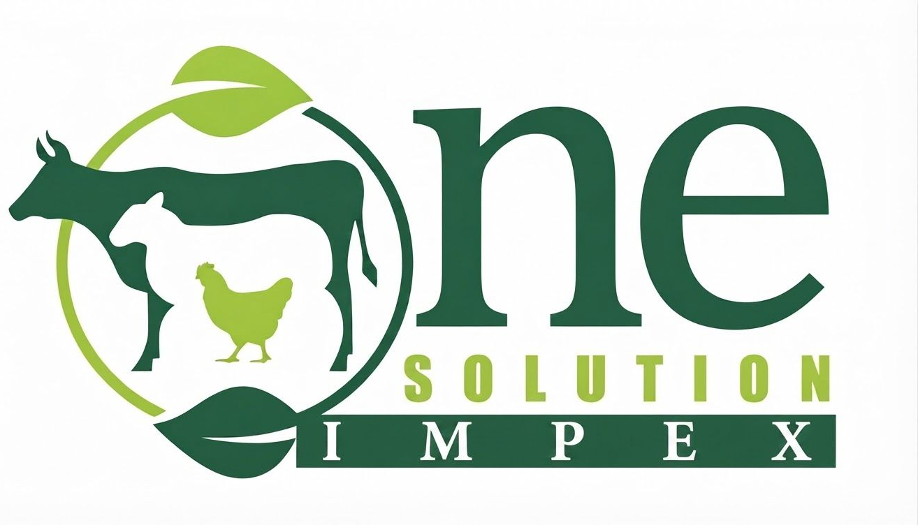 One Solution logo